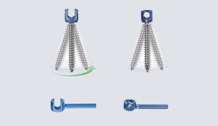 Armada Spinal System