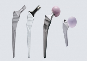 Hip Prosthesis Stem